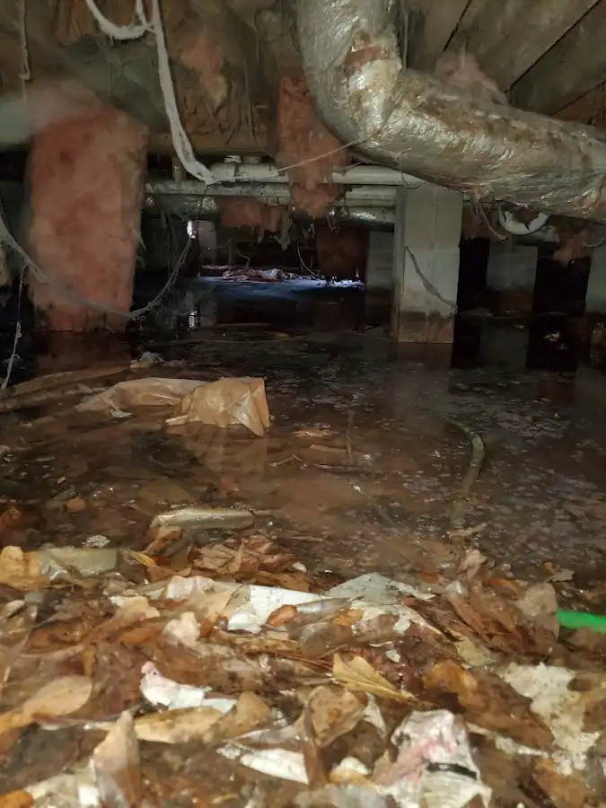 Crawl space flood assessment for Commercial Water Damage Restoration in Dentsville